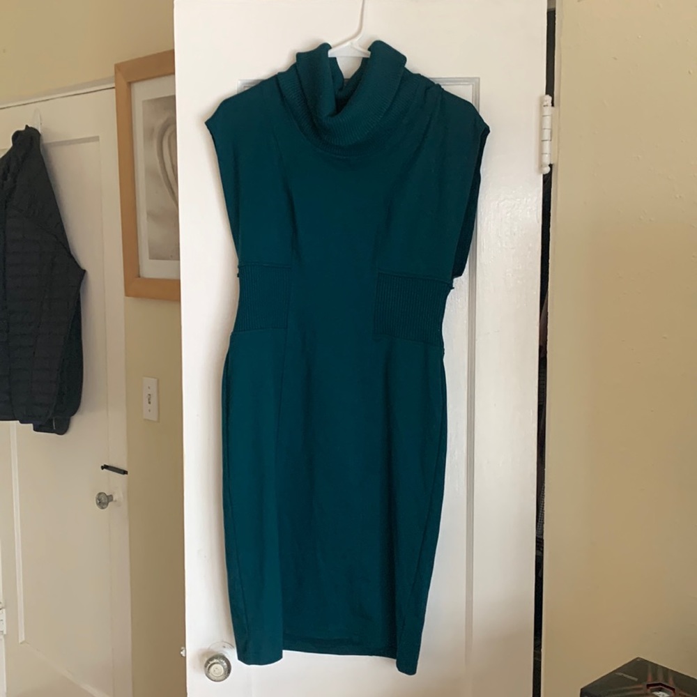 A Pea in the Pod Maternity Dress S